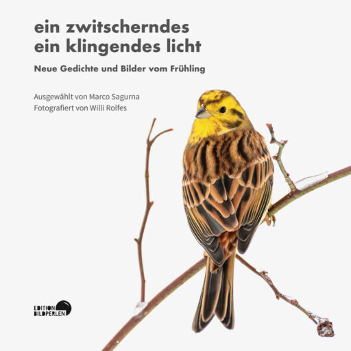 Fruehlingsgedichte_Cover_2D